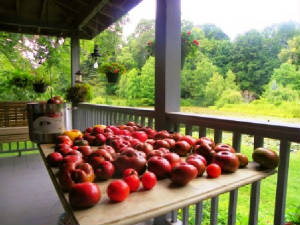 20110811readyforcanning.jpg