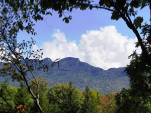 20110927grandfathermountain.jpg