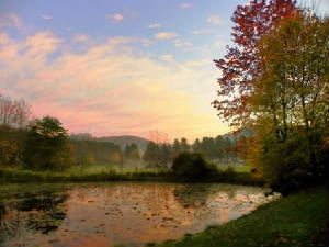 20111018fallmorning.jpg