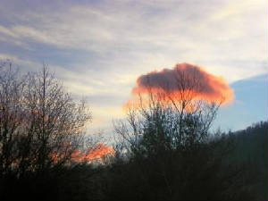 201111120sunrise.jpg