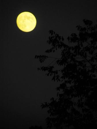 20110910septembermoon.jpg